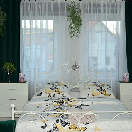 Apartament U Danusi Złoty Stok المظهر الخارجي الصورة