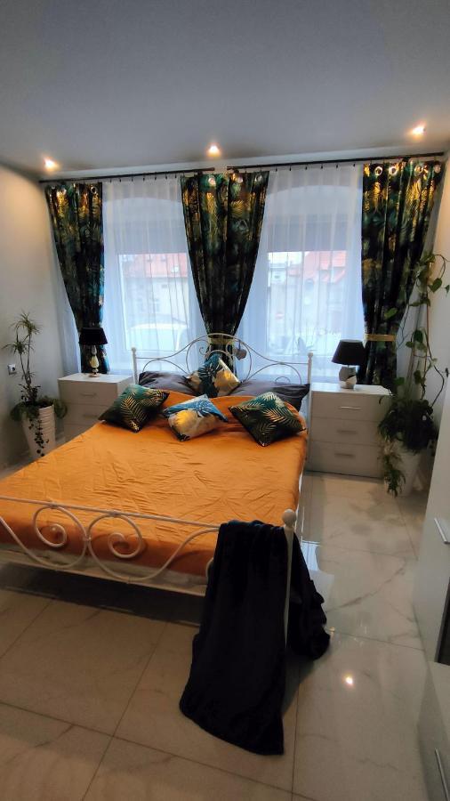 Apartament U Danusi Złoty Stok المظهر الخارجي الصورة